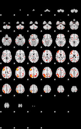 Patient:67;component:119