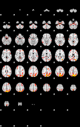 Patient:67;component:149