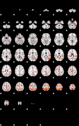 Patient:67;component:166