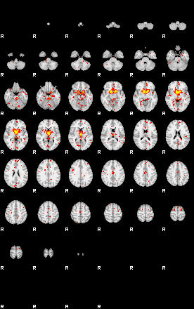 Patient:67;component:167