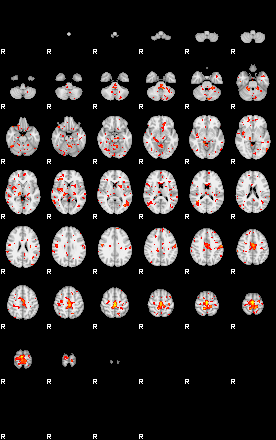 Patient:67;component:67