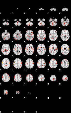 Patient:67;component:96