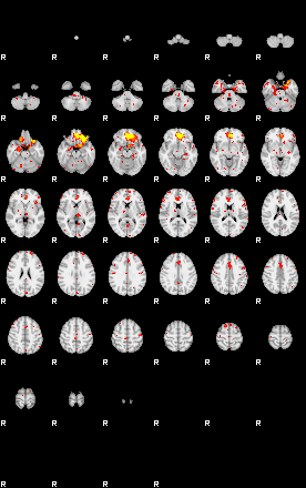 Patient:68;component:113