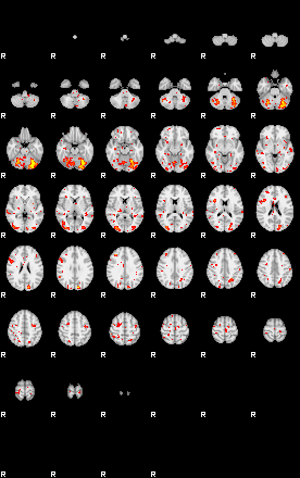 Patient:68;component:122