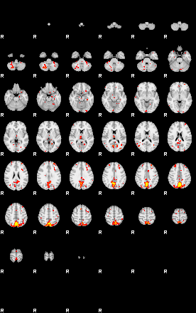 Patient:68;component:176