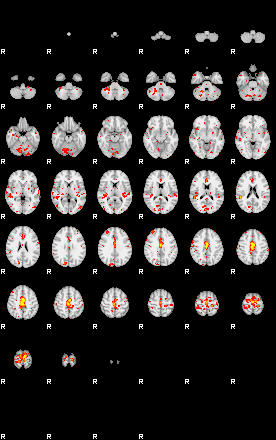 Patient:68;component:67