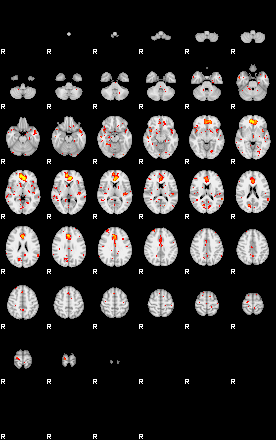 Patient:68;component:81