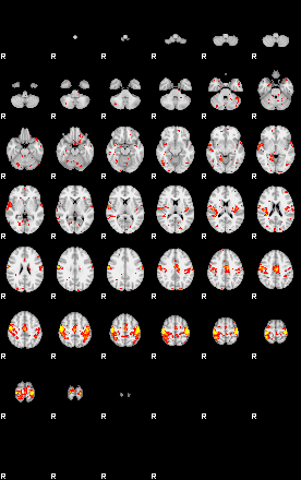 Patient:69;component:101