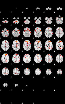 Patient:69;component:116