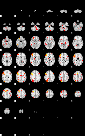 Patient:69;component:119