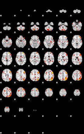 Patient:69;component:149