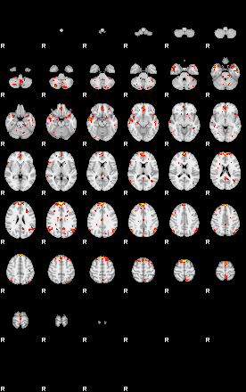 Patient:69;component:155