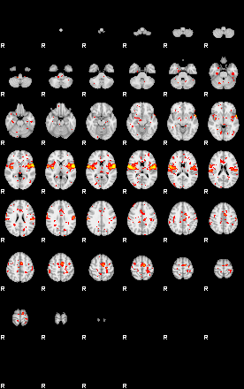 Patient:69;component:156