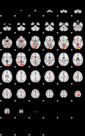 Patient:69;component:171