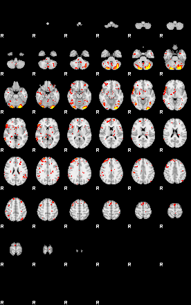 Patient:69;component:199