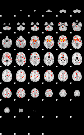 Patient:69;component:46