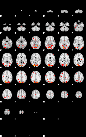 Patient:69;component:69