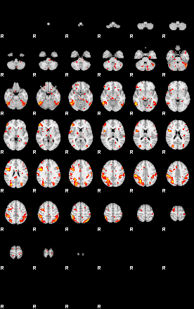 Patient:69;component:75