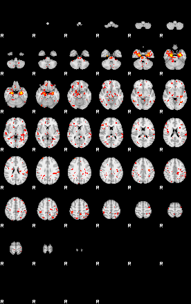 Patient:69;component:77