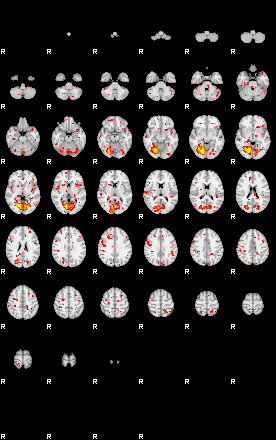 Patient:6;component:181