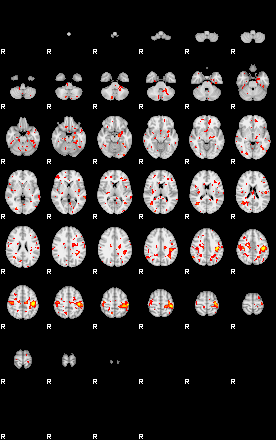 Patient:6;component:21