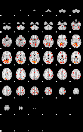 Patient:70;component:177