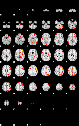 Patient:70;component:42