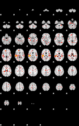 Patient:70;component:83