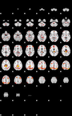 Patient:72;component:110