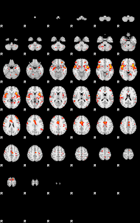 Patient:72;component:195