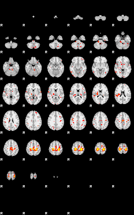 Patient:73;component:104