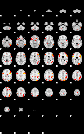 Patient:73;component:109