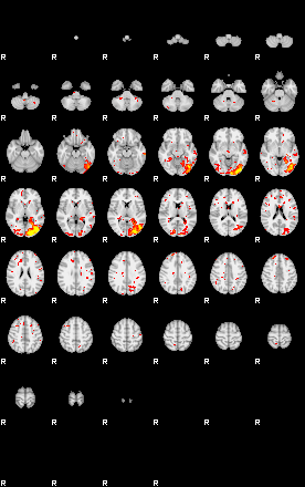 Patient:73;component:111