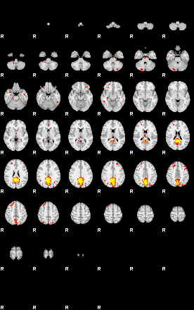 Patient:73;component:118