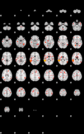 Patient:73;component:131