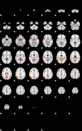 Patient:73;component:142