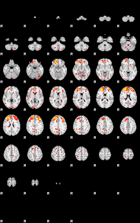 Patient:73;component:146