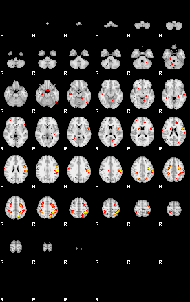 Patient:73;component:156