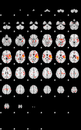 Patient:73;component:158