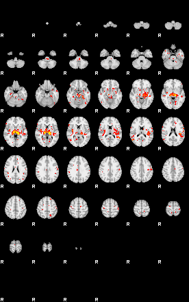 Patient:73;component:17