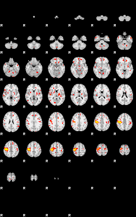 Patient:73;component:178