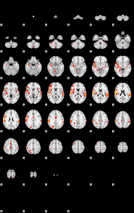 Patient:73;component:19