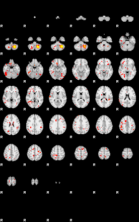 Patient:73;component:196