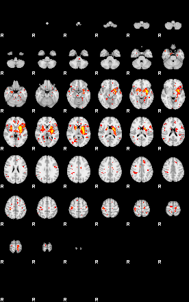 Patient:73;component:39