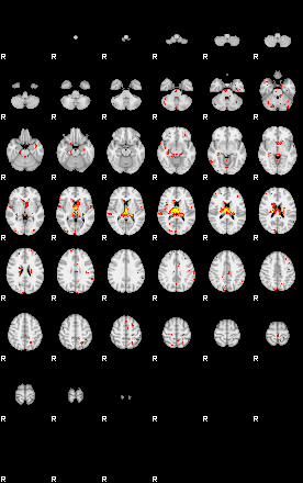 Patient:73;component:47