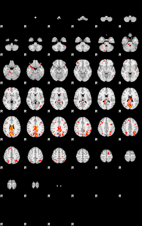 Patient:73;component:48