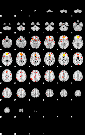 Patient:73;component:49