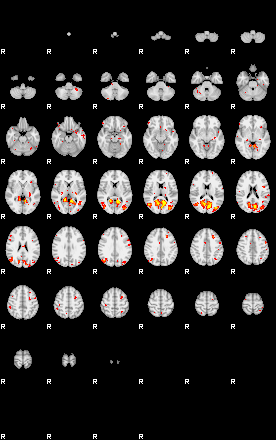 Patient:73;component:53