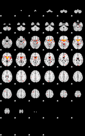 Patient:73;component:77