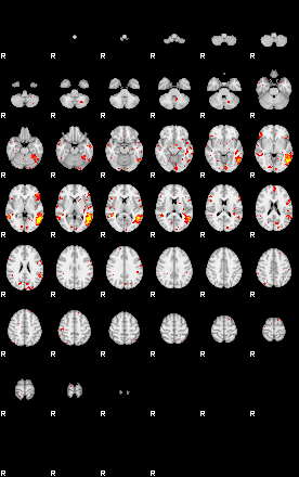 Patient:73;component:9